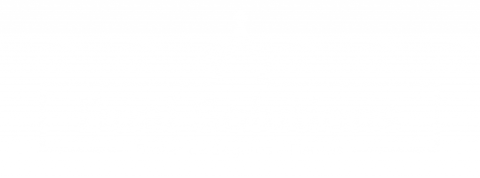DualSolutions